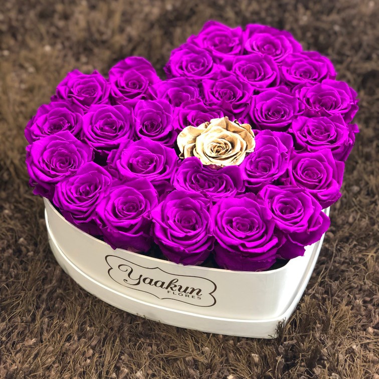 Bouquet de Rosas Violetas